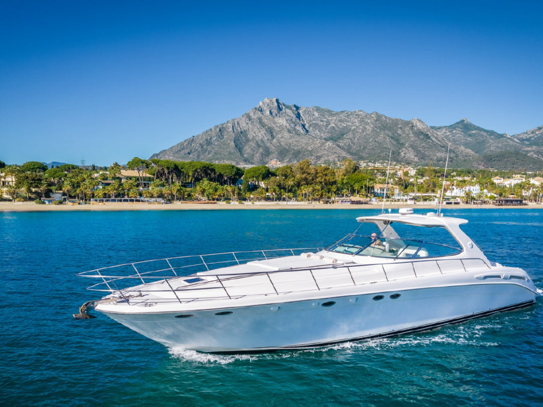 Sea Ray Sundancer 540 yacht charter in Marbella