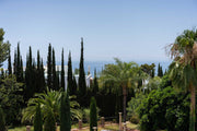 8-Bed Villa Mirage