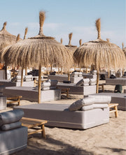 Banus