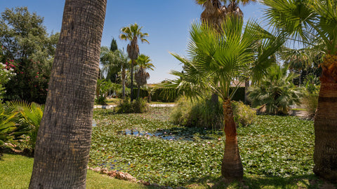 4-Bed Villa La Perla