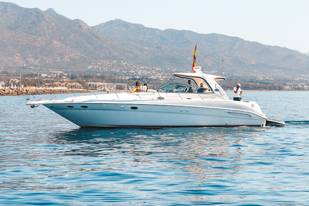 Sea Ray yacht in Marbella – main photo
