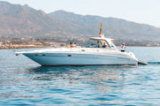 Sea Ray